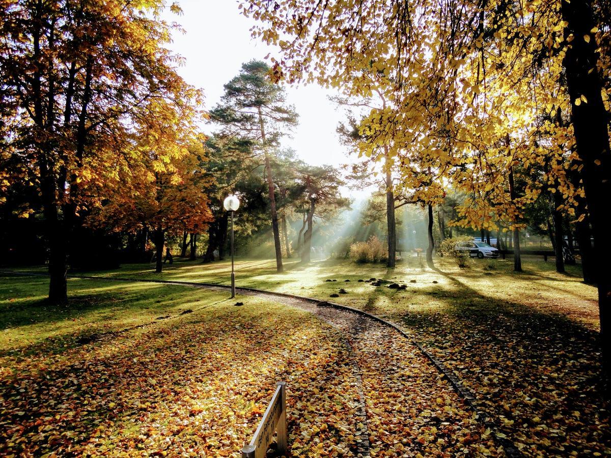 Ferienpark Am Glubigsee เวนดิสช์รีทซ์ ภายนอก รูปภาพ